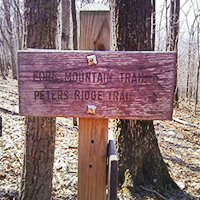 Fore-Mountain-Trail