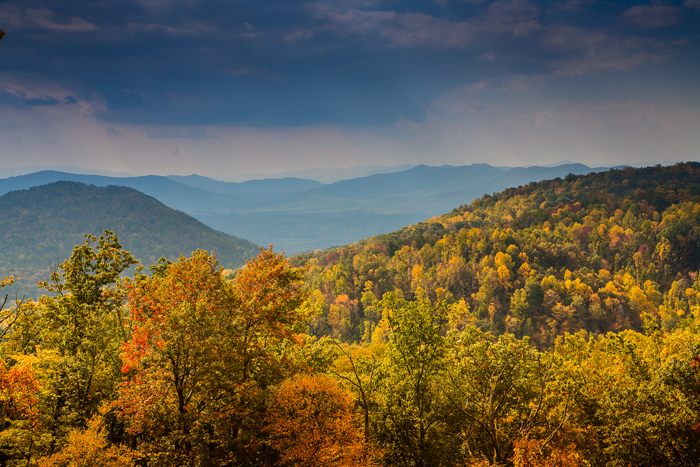 fall leaves blue ridge mountains